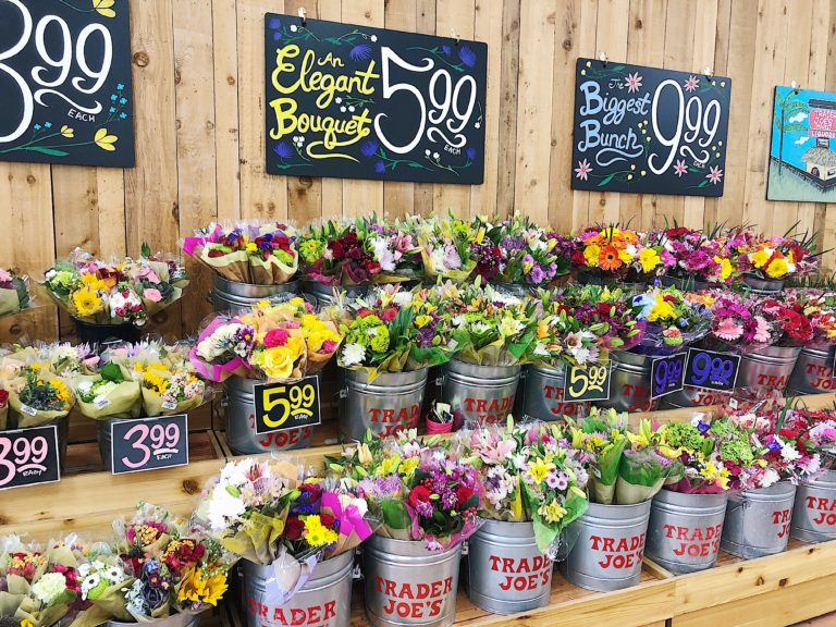 ||||||||||||Trader Joe's Paleo + Gluten Free Shopping Guide||||||||A visual overview of Trader Joe's